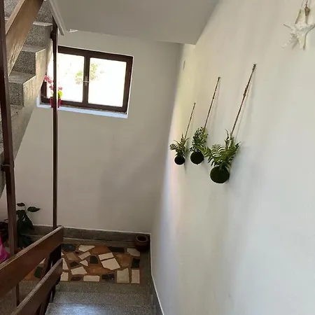 Zorka Apartment *