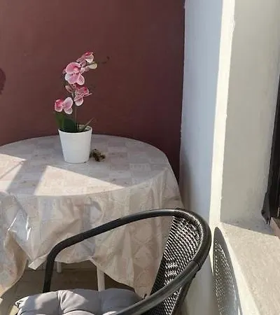 Apartment Zorka *