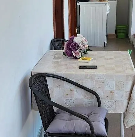 Apartment Zorka *