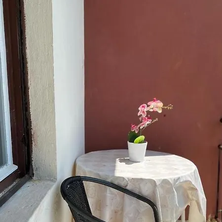 Zorka * Podstrana